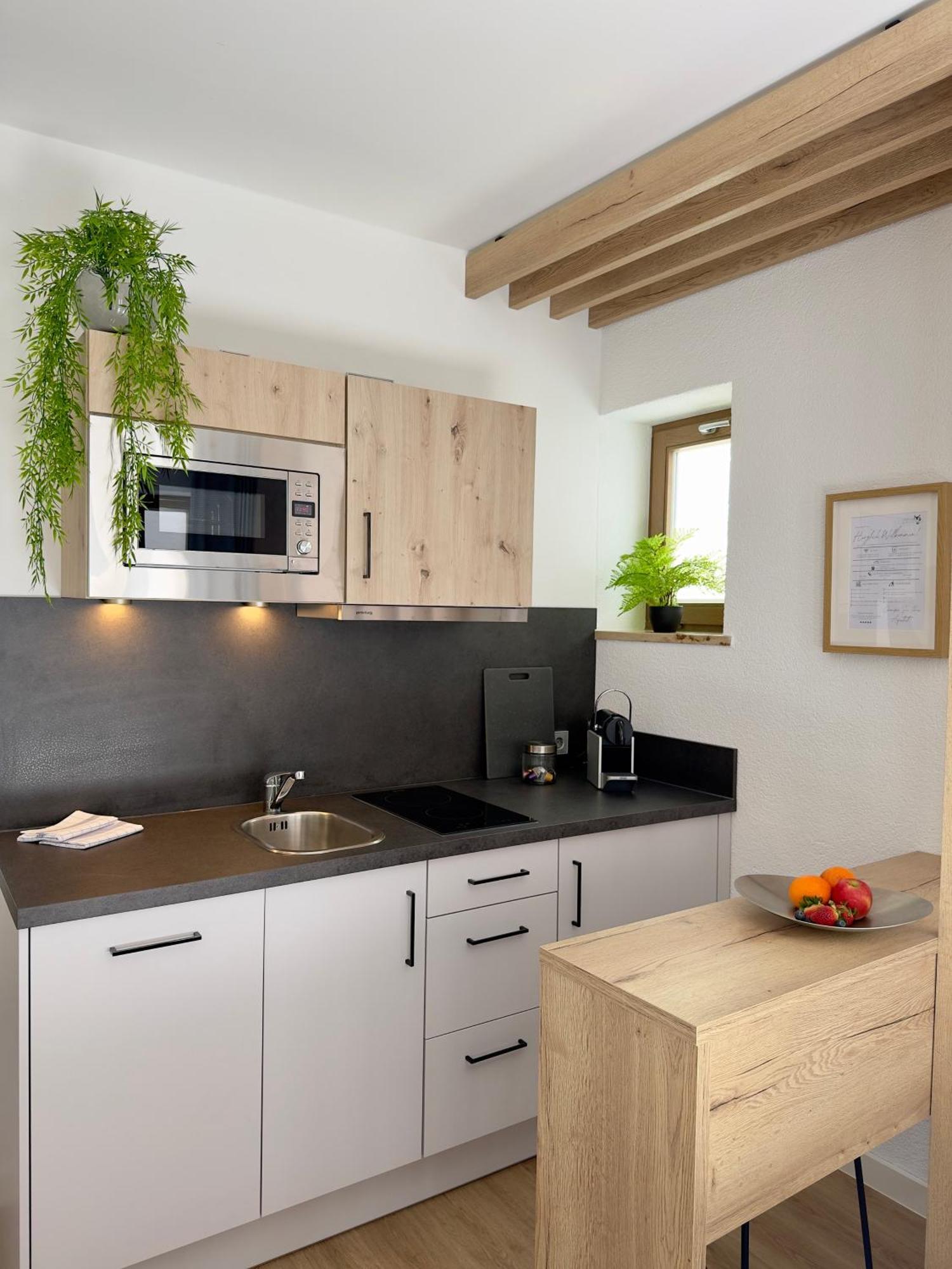 Living & Serviced Apartments By Blauer Wolf Gunzenhausen Ngoại thất bức ảnh
