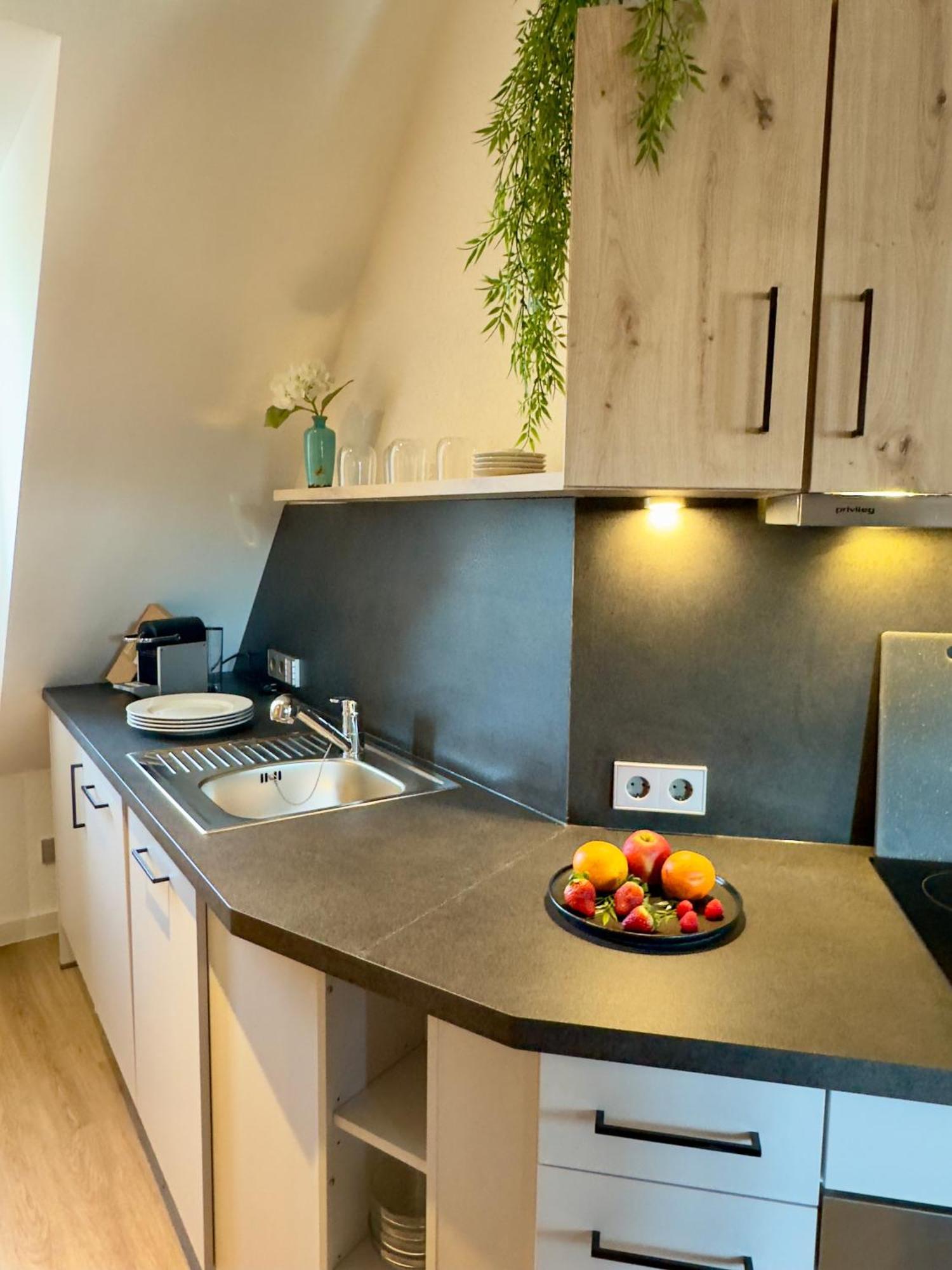 Living & Serviced Apartments By Blauer Wolf Gunzenhausen Ngoại thất bức ảnh